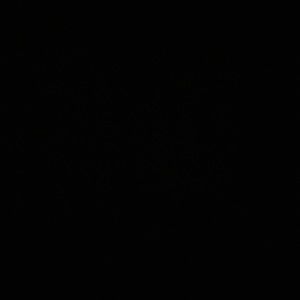 Meet your Posher, Britney